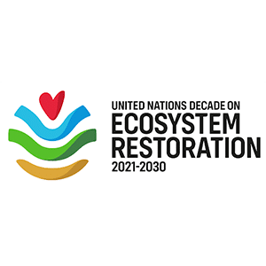Circular Economy Newcastle